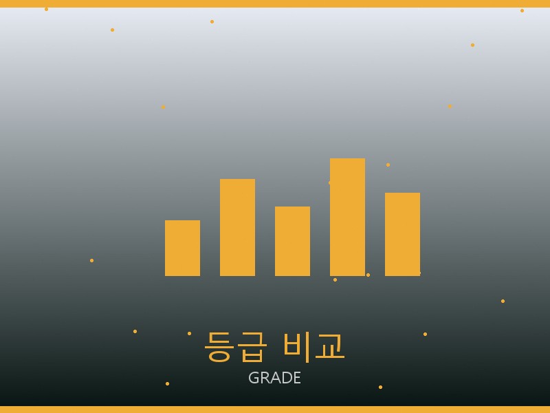 우영미 레플리카 사이트 등급 기준 비교